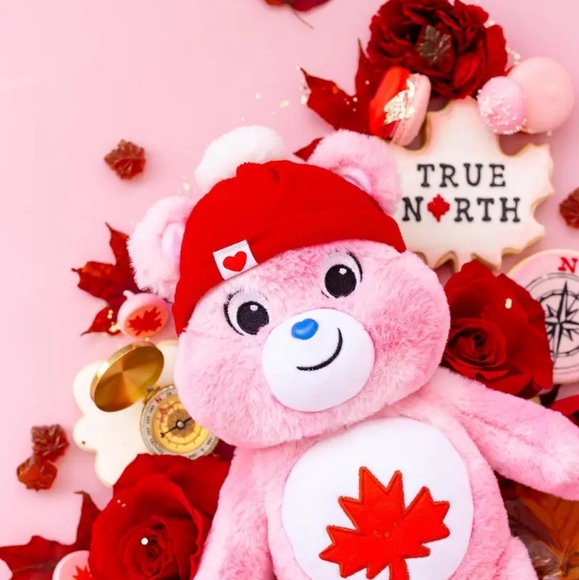 Pink True North Care Bear - Picture 6 of 6